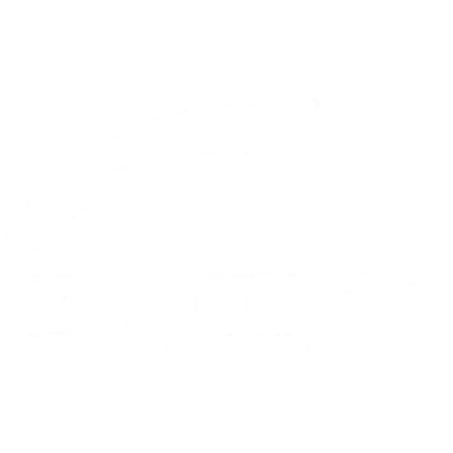 Logo EasyFlight